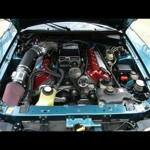 Meet your Posher, Steve